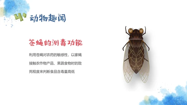 红蓝手绘风格趣味科普小讲堂主题班会PPT课件