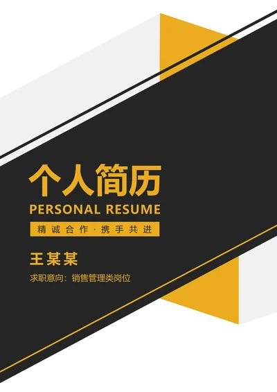 个人简历套装销售