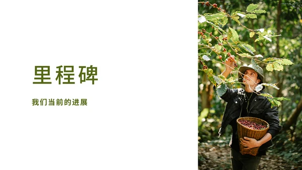 目标和项目计划进展跟踪通用PPT模板
