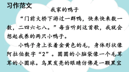 -统编版2024-2025学年三年级语文上册同步精品习作：我们眼中的缤纷世界 课件