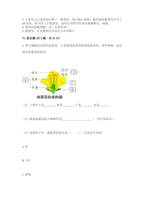 科学四年级下册第一单元《植物的生长变化》测试卷附答案【考试直接用】.docx