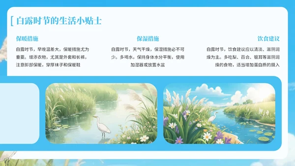 蓝绿色中国风白露节气知识宣传PPT
