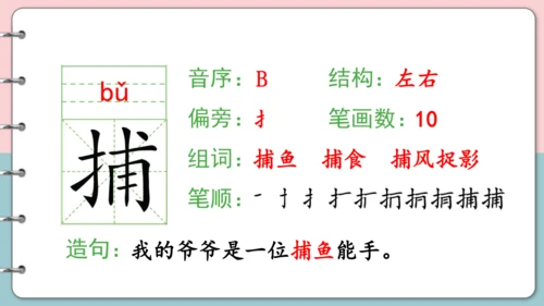 第15课《搭船的鸟》（第一课时）课件