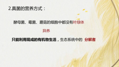 人教版（2024）七年级上册2.3.3真菌(共27张PPT)+视频素材