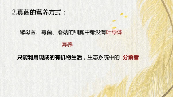 人教版（2024）七年级上册2.3.3真菌(共27张PPT)+视频素材
