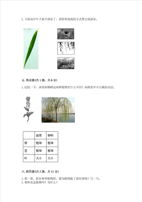 教科版科学一年级上册第一单元《植物》测试卷（名校卷）word版