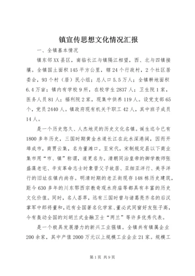 镇宣传思想文化情况汇报.docx