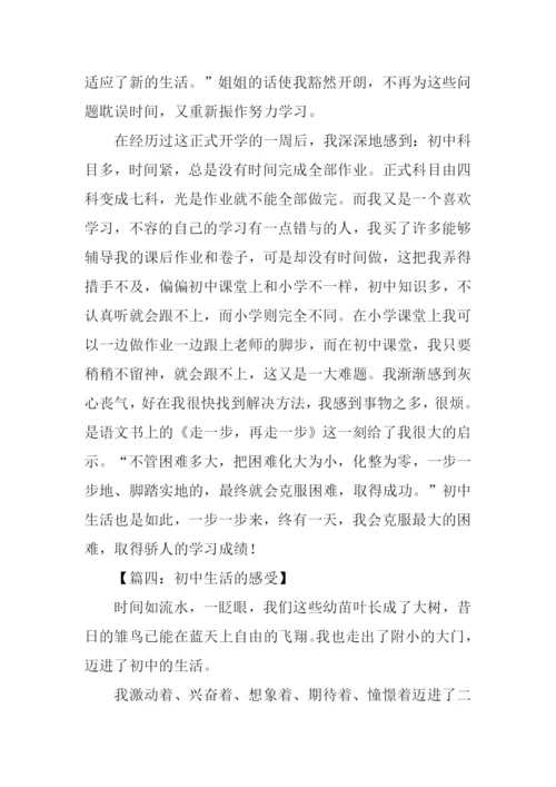初中生活的感受作文.docx