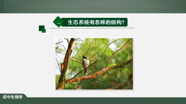 1.2.2 生物与环境组成生态系统 课件（共25张PPT）