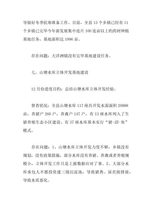 全县重点产业项目督查情况汇报.docx