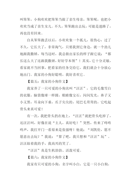 我家的小狗作文300字.docx