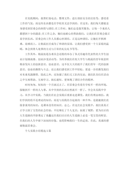 个人实践小结精选5篇.docx