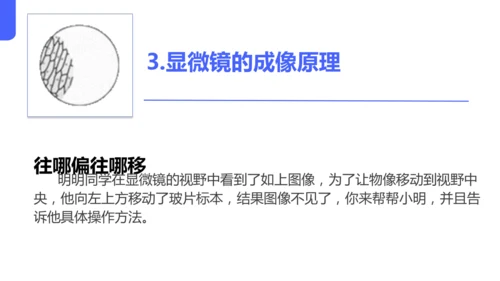 人教版（2024）七年级上册1.2.1 学习使用显微镜 课件(共29张PPT)
