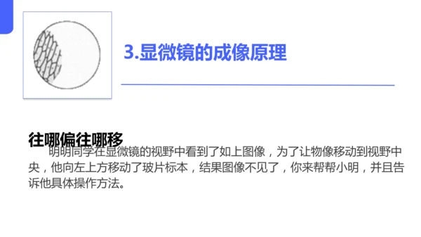 人教版（2024）七年级上册1.2.1 学习使用显微镜 课件(共29张PPT)