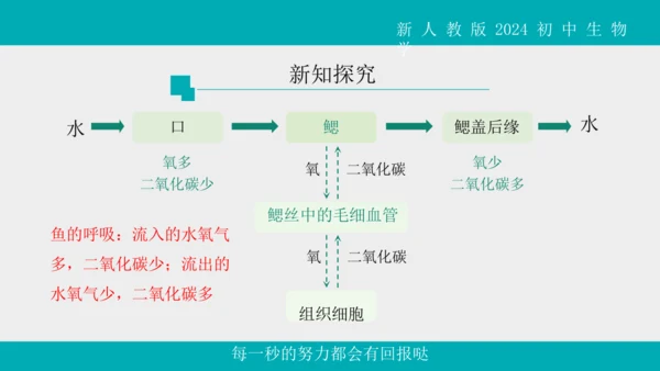 人教版生物七年级上册2.2.2《脊椎动物》（第1课时）课件(共42张PPT)+视频素材
