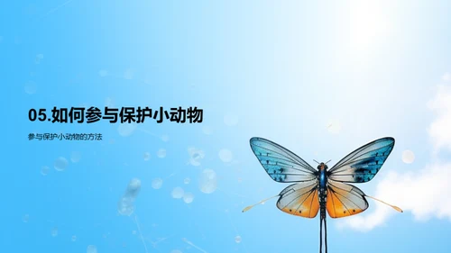 保护小动物