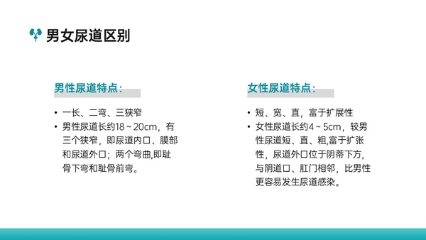 绿色简约实拍风女病人留置导尿术培训PPT课件女性健康
