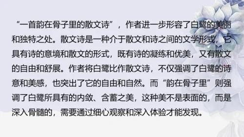 《1 白鹭》课件
