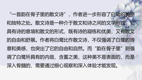 《1 白鹭》课件
