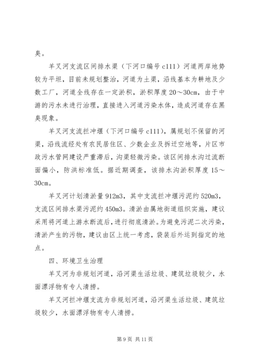 羊叉河综合方案可行性研究报告.docx