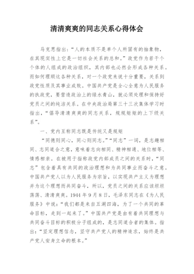 清清爽爽的同志关系心得体会.docx