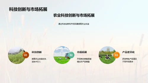 农业收益全解析
