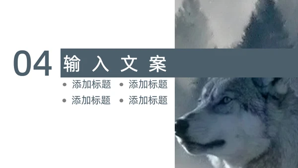 狼性企业文化建设通用PPT模板