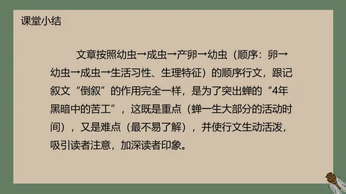 八年级下册蝉课件PPT模板