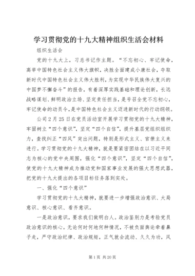 学习贯彻党的十九大精神组织生活会材料.docx