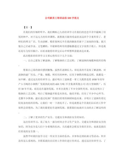 精编之公司新员工培训总结500字范文.docx