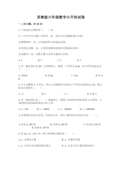 苏教版六年级数学小升初试卷精品【典优】.docx