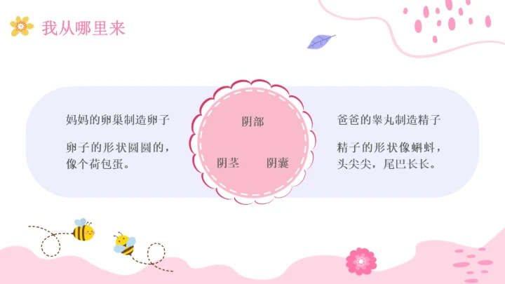 小学生性教育插画主题班会PPT课件