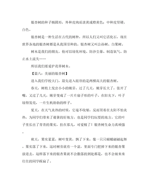 关于美丽的银杏树作文