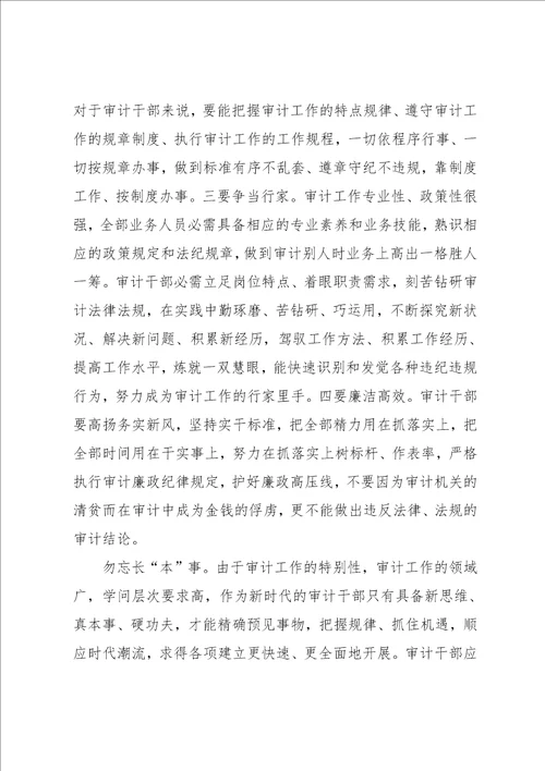 审计局第二批群众路线教育实践活动心得体会