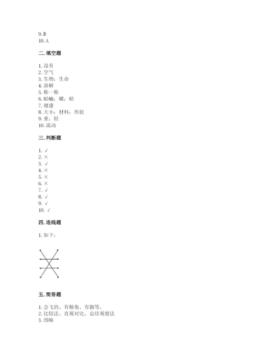 教科版一年级下册科学期末测试卷及参考答案ab卷.docx