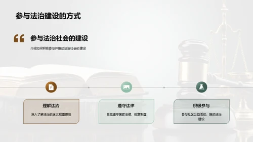 法治社会深度解析