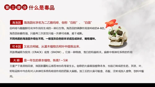 国际禁毒日珍爱生命远离毒品禁毒教育PPT课件禁毒日（禁毒）