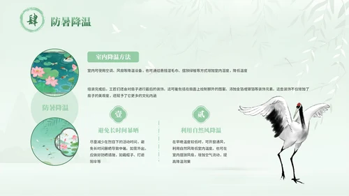 绿色中国风三伏天养生指南PPT模板
