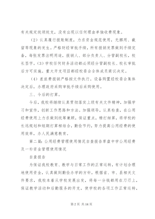 花果中心小学公用经费使用情况自查报告.docx