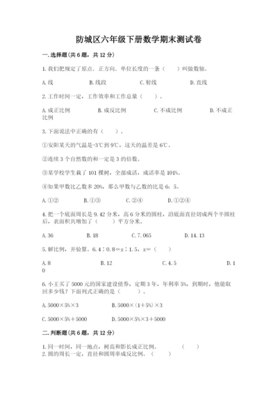 防城区六年级下册数学期末测试卷精品加答案.docx