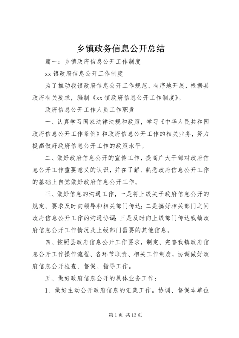 乡镇政务信息公开总结.docx