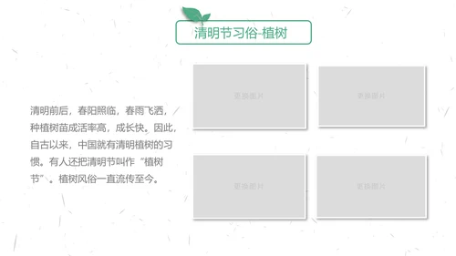 中国传统节气清明节介绍宣传清明踏青PPT模版