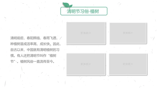 中国传统节气清明节介绍宣传清明踏青PPT模版