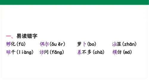 统编版语文三年级上册期中复习单元知识盘点  课件