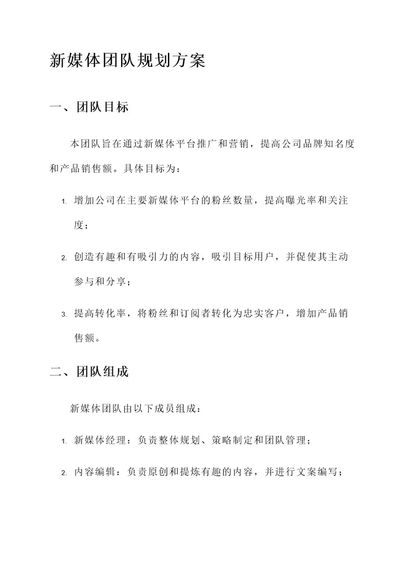 新媒体团队规划方案