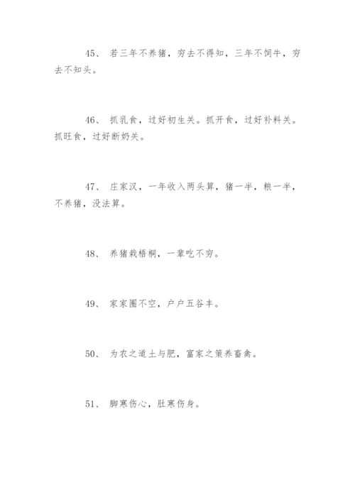 养猪的谚语.docx