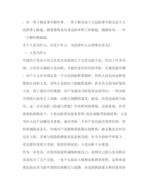 精编入党为什么在党干什么为党留什么心得体会入党干什么心得体会.docx