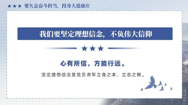 蓝色政党做一名新时代优秀的青年党员党课PPT党建