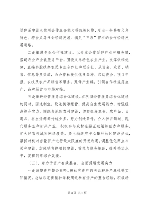 供销总社年度工作思路.docx