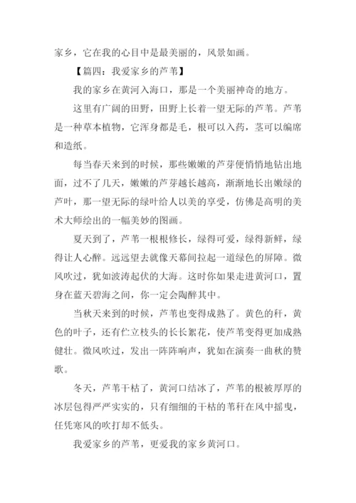 家乡的一处景物作文450字.docx